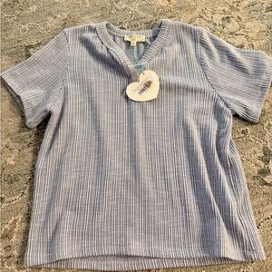 Purple Striped Short Sleeve Top